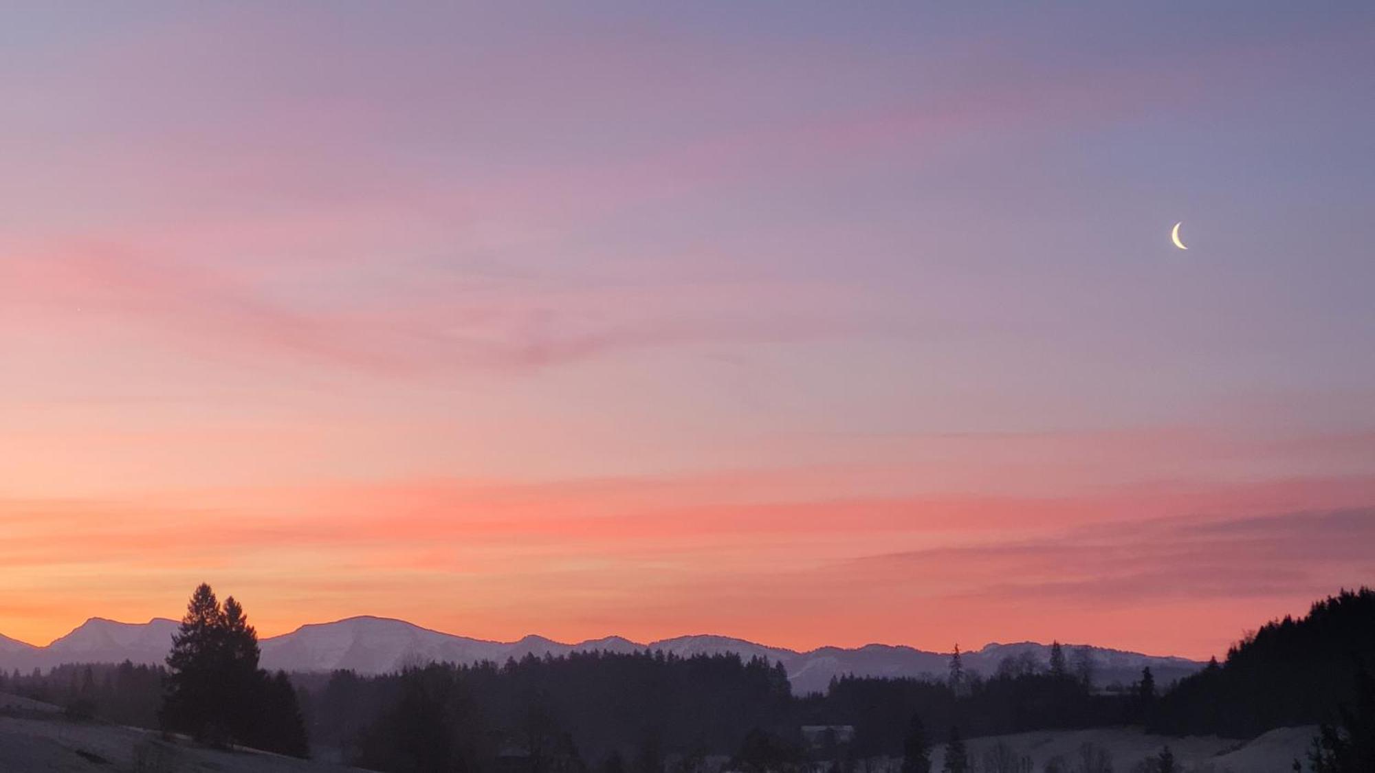 Allgaeublick Daire Wangen im Allgäu Dış mekan fotoğraf