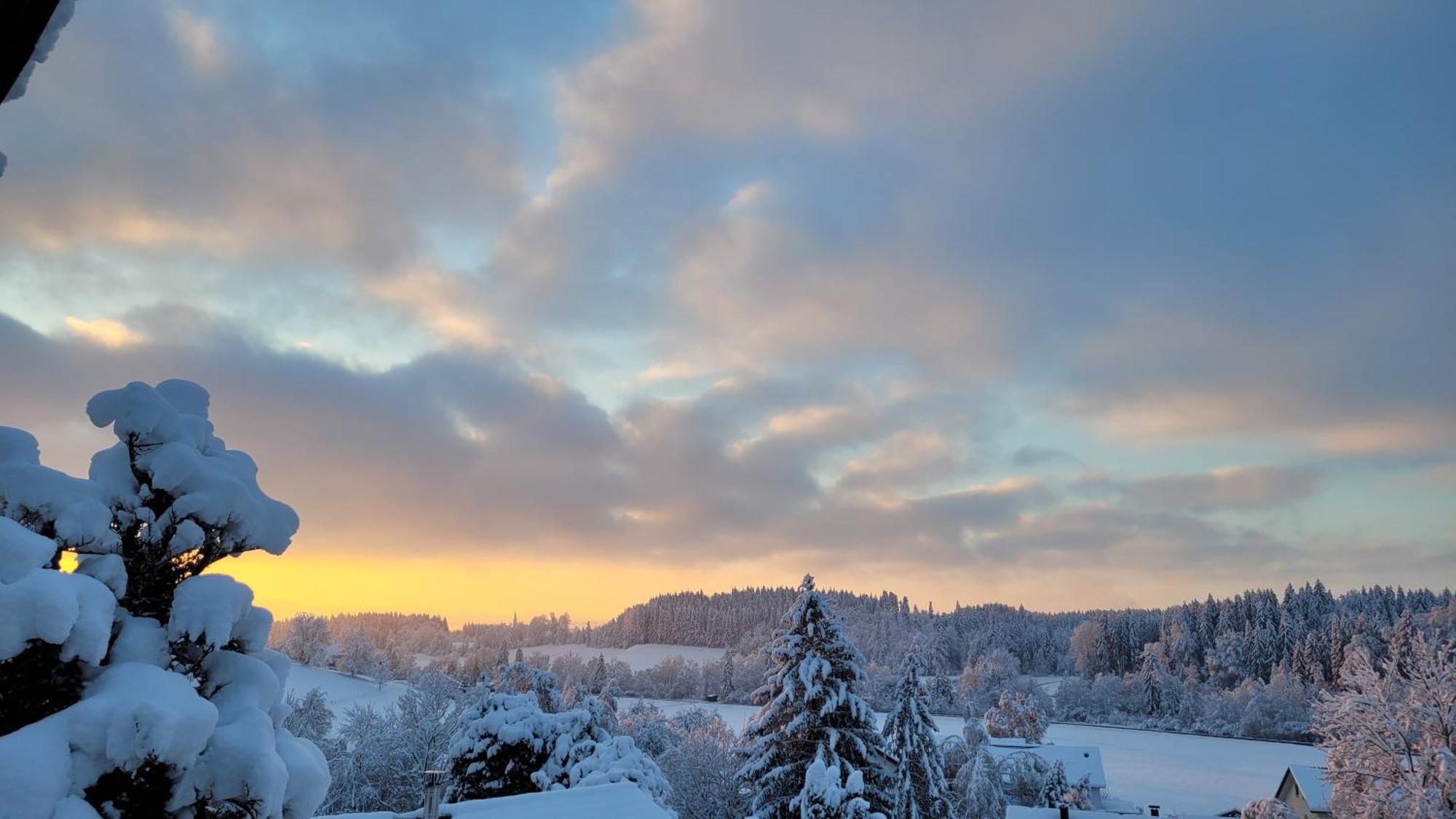 Allgaeublick Daire Wangen im Allgäu Dış mekan fotoğraf