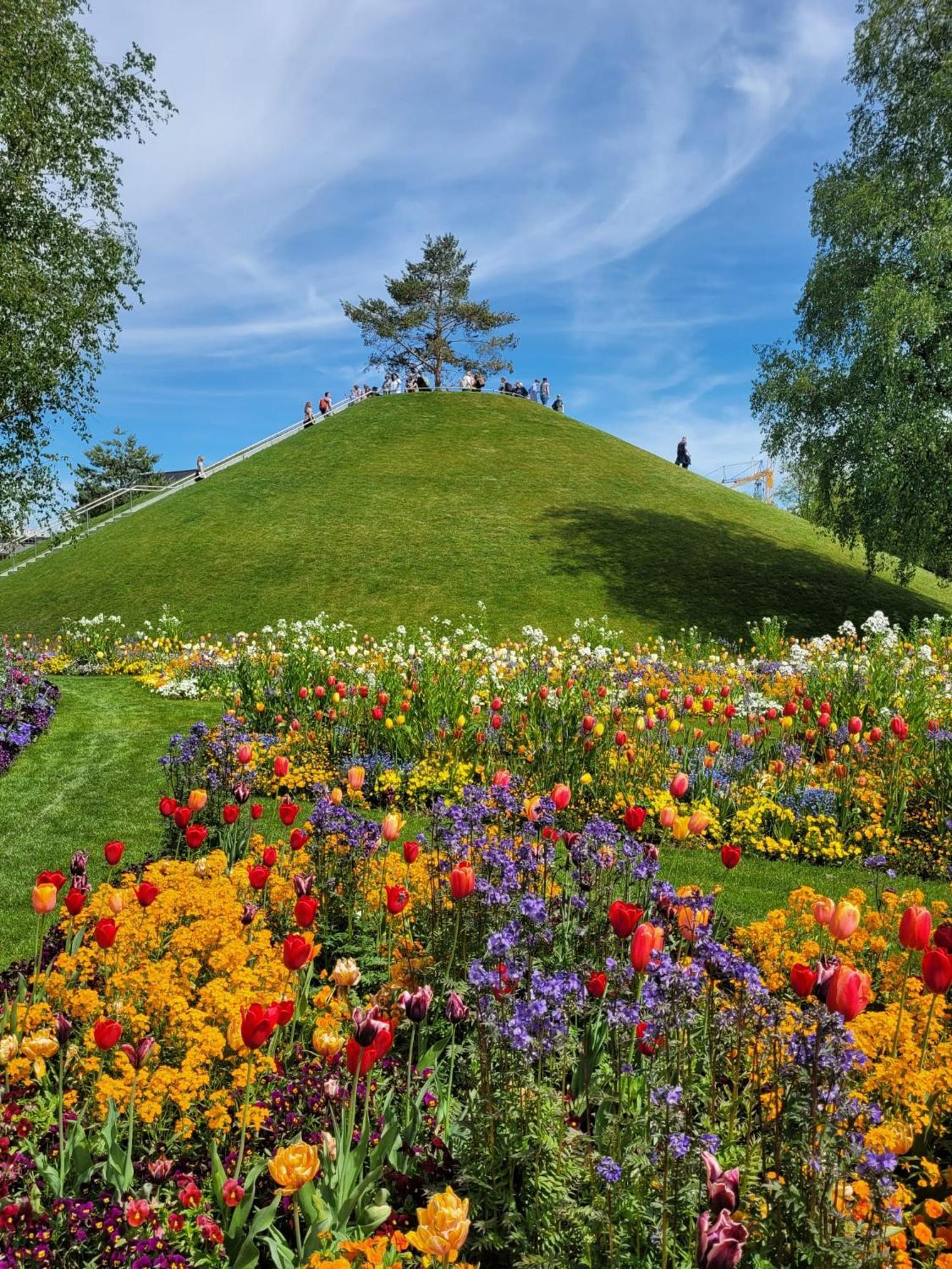 Allgaeublick Daire Wangen im Allgäu Dış mekan fotoğraf